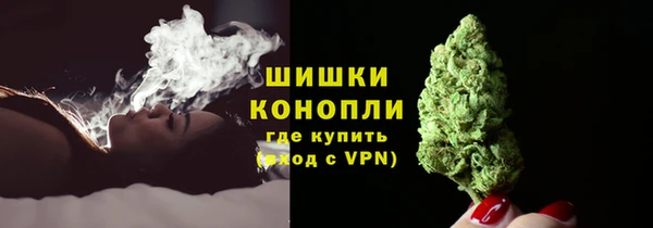 spice Богородск