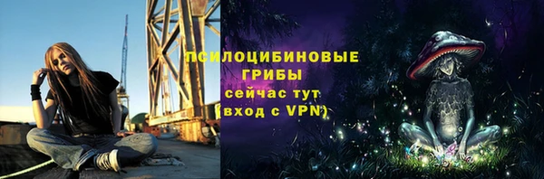 PSILOCYBIN Богданович